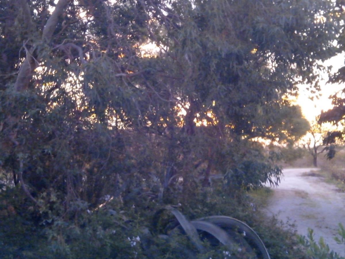 Mas Soleil Et Vignes Bed & Breakfast Saint-Hippolyte  ภายนอก รูปภาพ