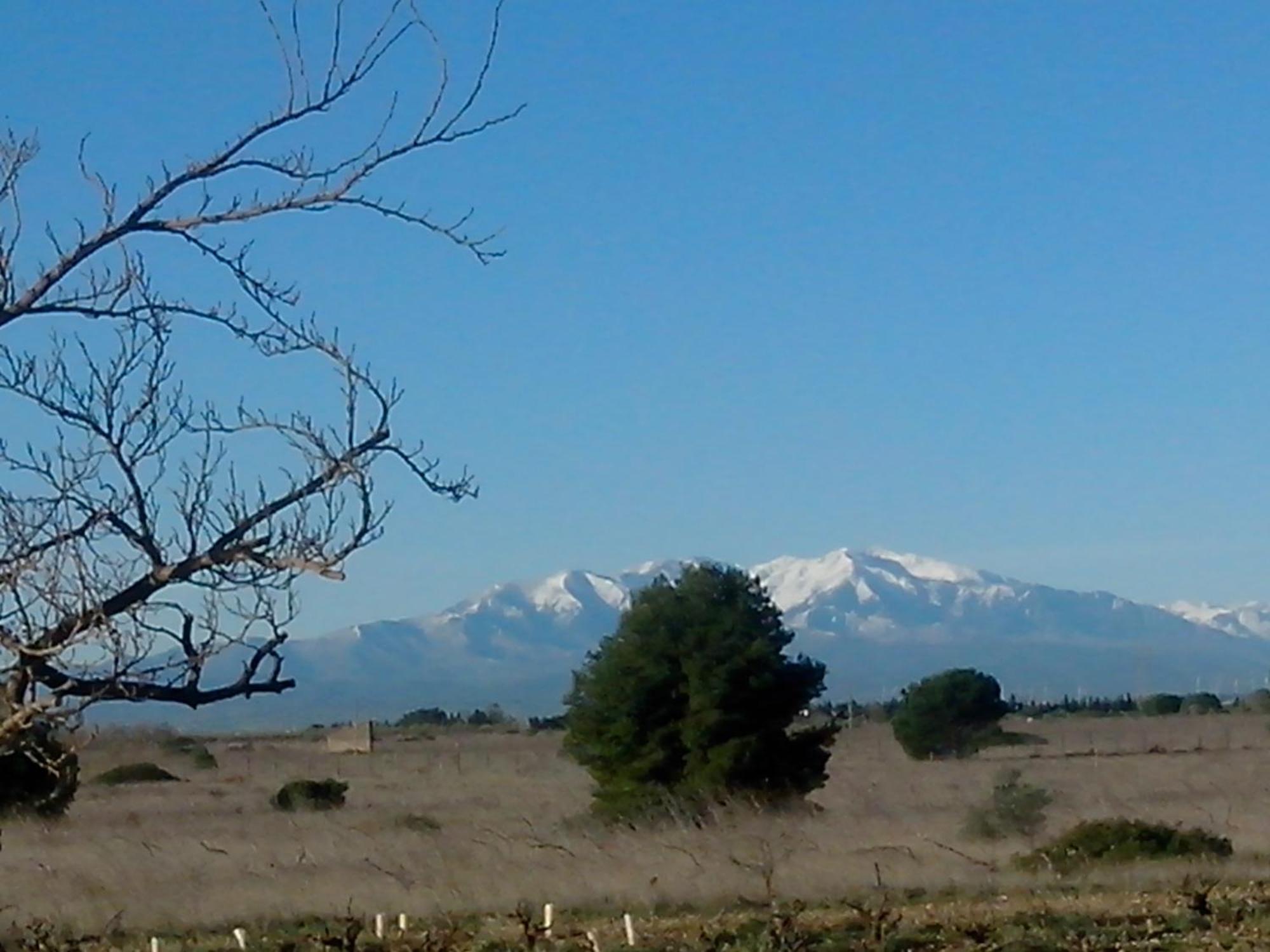 Mas Soleil Et Vignes Bed & Breakfast Saint-Hippolyte  ภายนอก รูปภาพ